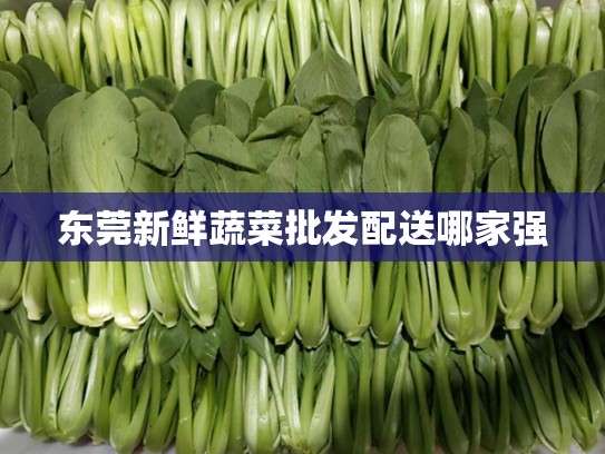 东莞新鲜蔬菜批发配送哪家强