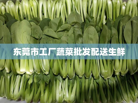 东莞市工厂蔬菜批发配送生鲜
