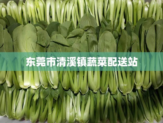 东莞市清溪镇蔬菜配送站