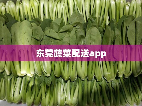 东莞蔬菜配送app