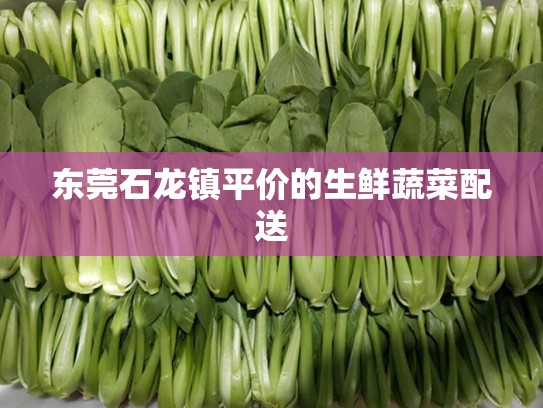 东莞石龙镇平价的生鲜蔬菜配送