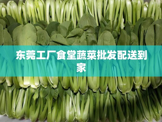 东莞工厂食堂蔬菜批发配送到家