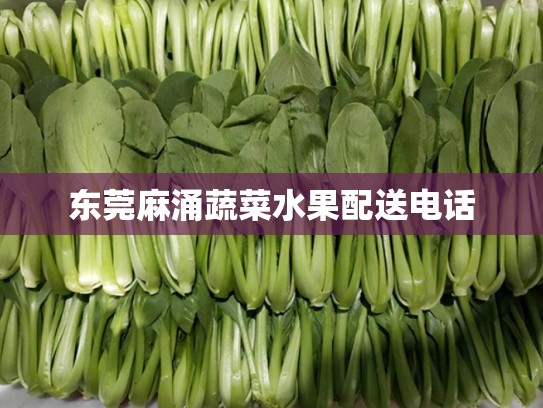 东莞麻涌蔬菜水果配送电话