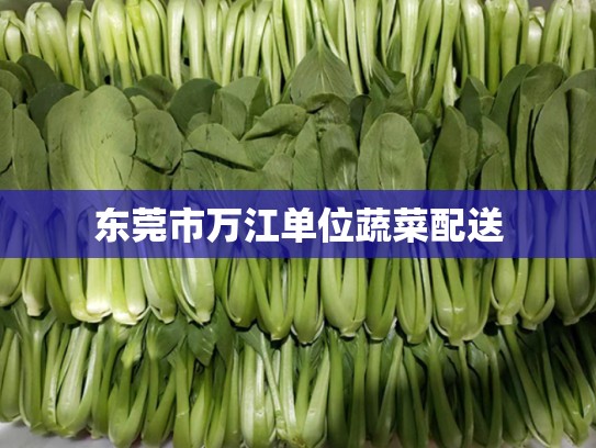东莞市万江单位蔬菜配送