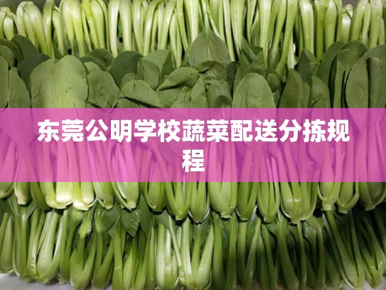 东莞公明学校蔬菜配送分拣规程