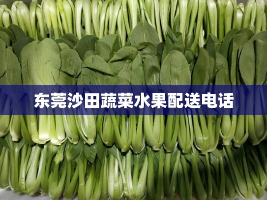 东莞沙田蔬菜水果配送电话