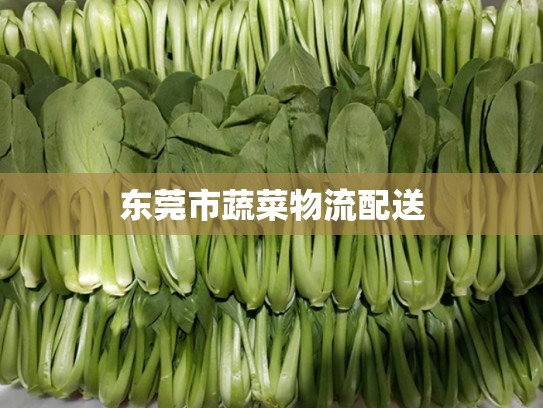 东莞市蔬菜物流配送