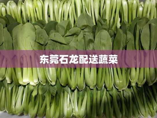 东莞石龙配送蔬菜