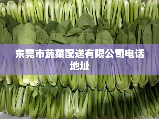 东莞市蔬菜配送有限公司电话地址