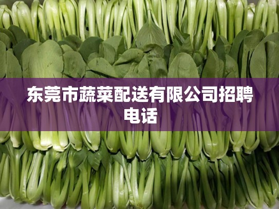 东莞市蔬菜配送有限公司招聘电话