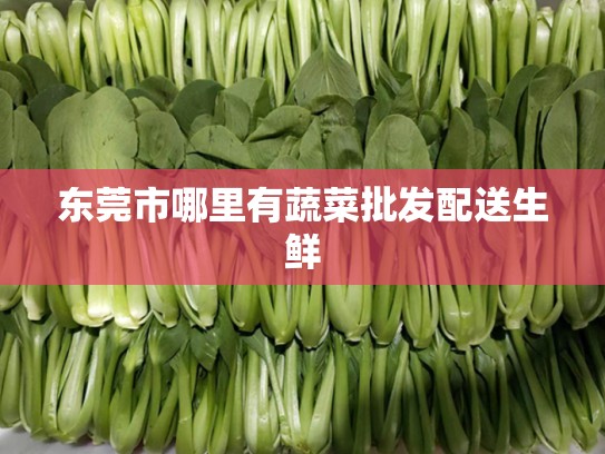 东莞市哪里有蔬菜批发配送生鲜