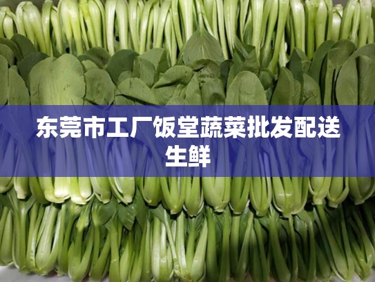 东莞市工厂饭堂蔬菜批发配送生鲜