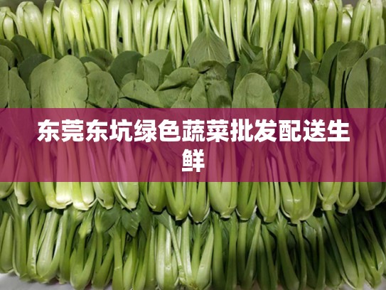 东莞东坑绿色蔬菜批发配送生鲜