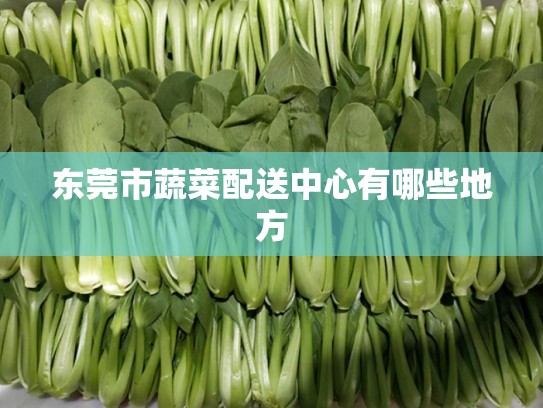 东莞市蔬菜配送中心有哪些地方