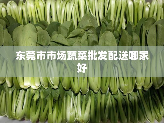 东莞市市场蔬菜批发配送哪家好