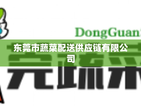 东莞市蔬菜配送供应链有限公司