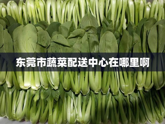 东莞市蔬菜配送中心在哪里啊