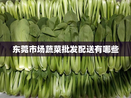 东莞市场蔬菜批发配送有哪些