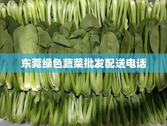东莞绿色蔬菜批发配送电话