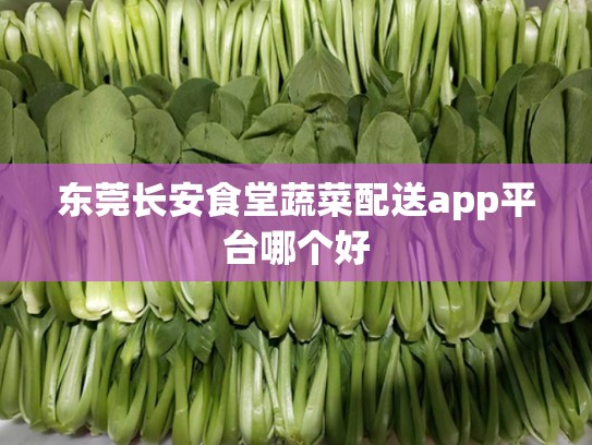 东莞长安食堂蔬菜配送app平台哪个好