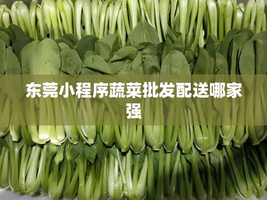 东莞小程序蔬菜批发配送哪家强