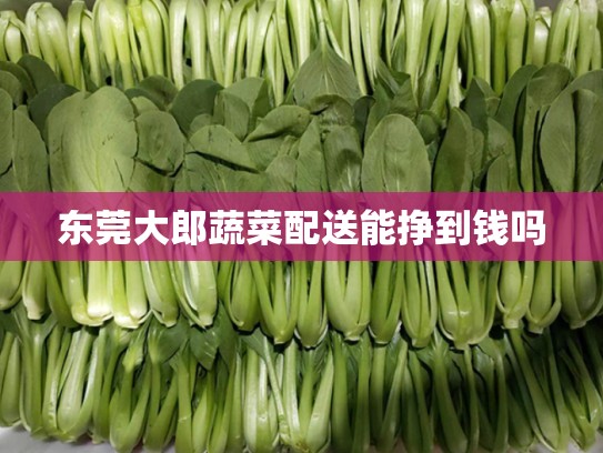 东莞大郎蔬菜配送能挣到钱吗