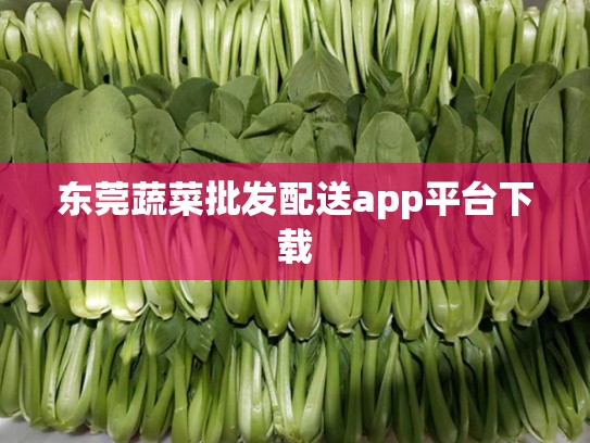 东莞蔬菜批发配送app平台下载