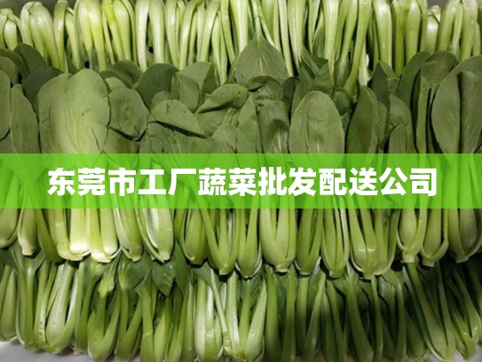 东莞市工厂蔬菜批发配送公司
