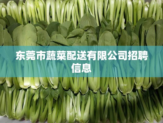 东莞市蔬菜配送有限公司招聘信息