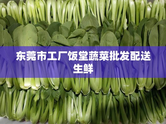 东莞市工厂饭堂蔬菜批发配送生鲜
