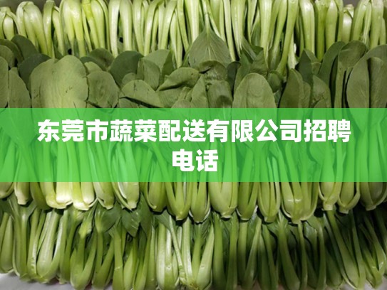 东莞市蔬菜配送有限公司招聘电话