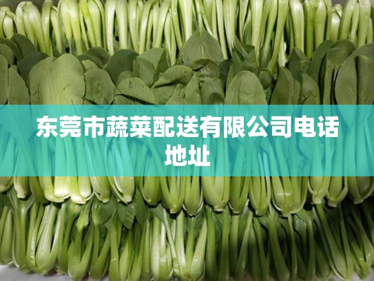 东莞市蔬菜配送有限公司电话地址