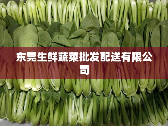东莞生鲜蔬菜批发配送有限公司