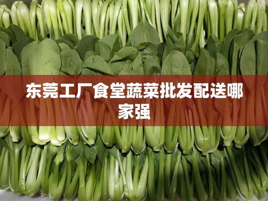 东莞工厂食堂蔬菜批发配送哪家强