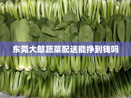 东莞大郎蔬菜配送能挣到钱吗