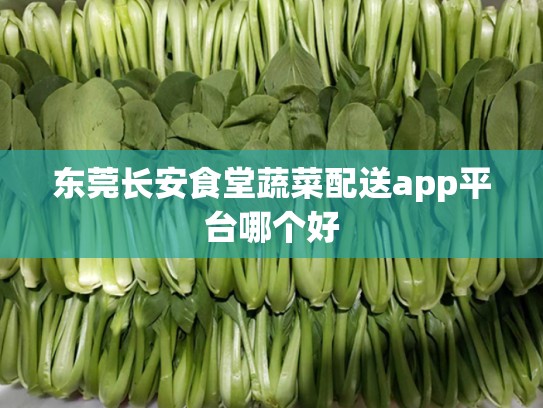 东莞长安食堂蔬菜配送app平台哪个好