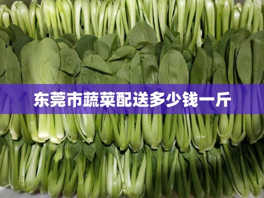 东莞市蔬菜配送多少钱一斤