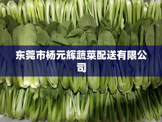 东莞市杨元辉蔬菜配送有限公司