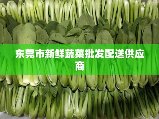 东莞市新鲜蔬菜批发配送供应商