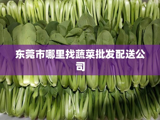 东莞市哪里找蔬菜批发配送公司