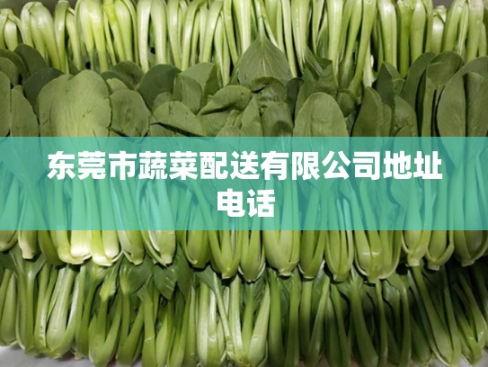 东莞市蔬菜配送有限公司地址电话