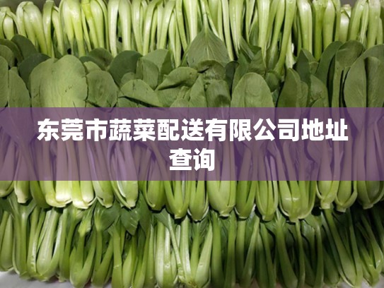 东莞市蔬菜配送有限公司地址查询