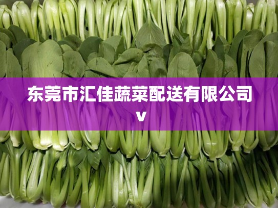 东莞市汇佳蔬菜配送有限公司 v