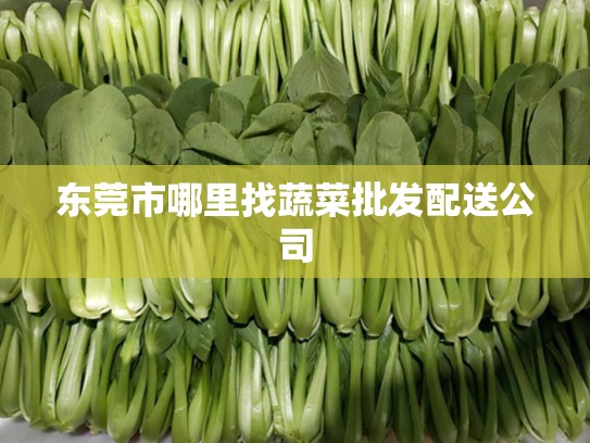 东莞市哪里找蔬菜批发配送公司