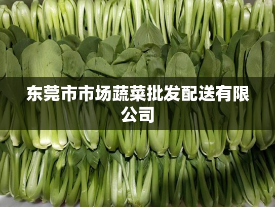 东莞市市场蔬菜批发配送有限公司