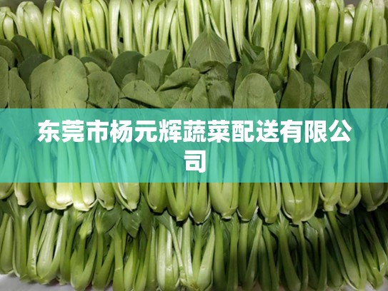 东莞市杨元辉蔬菜配送有限公司