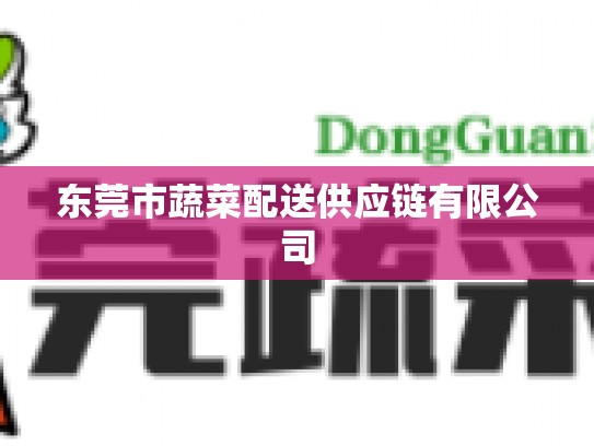 东莞市蔬菜配送供应链有限公司