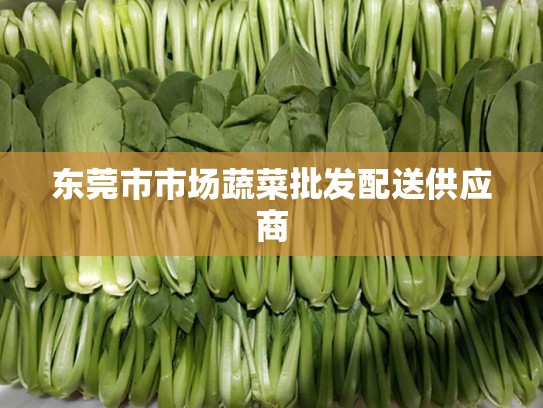 东莞市市场蔬菜批发配送供应商