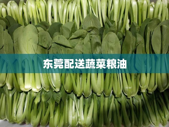 东莞配送蔬菜粮油