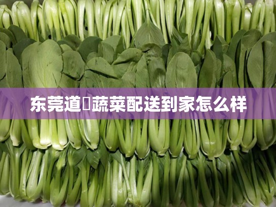 东莞道滘蔬菜配送到家怎么样